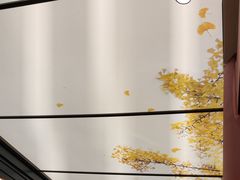 -京味斋·烤鸭·北京菜(安贞店)