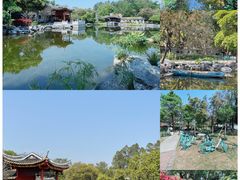 -顺峰山公园