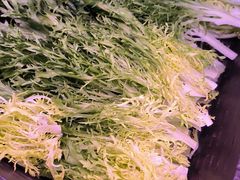 -牛吉韵·鲜切牛肉自助火锅(南山店)