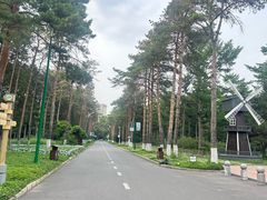 -黑龙江省森林植物园
