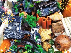 -清平路水族市场