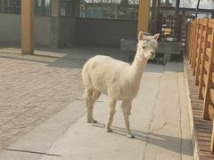 -商丘市人民公园