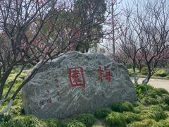 -上海海湾国家森林公园