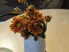 -boundaries籬苑(瑞光创意工厂-贰号院店)