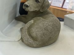-美联众合动物医院·24h转诊中心