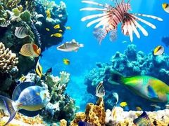 -福州罗源湾海洋世界旅游区