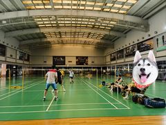 -真爱中国餐馆·年华店(朱雀大街店)