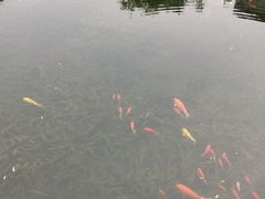 -黑石礁公园