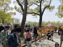 -共青国家森林公园-售票处