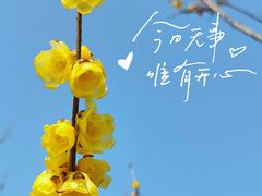 -无锡梅园公园