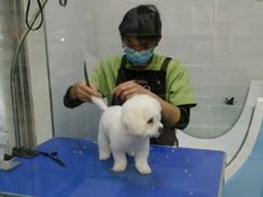 -芭比堂动物医院广州顽皮分院