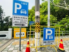 -嘉定紫藤园
