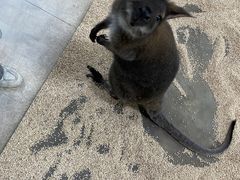 -海合安武汉极地海洋公园