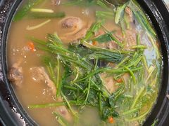 -陈江波老鸭煲(城中路店)