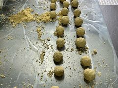-都江堰中华大熊猫苑