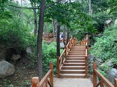 -大岭沟猕猴桃谷风景区
