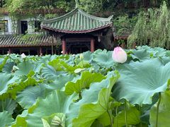 -富乐山