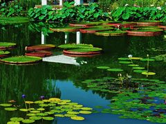 -国家植物园南园