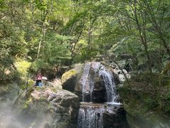 -牛背梁国家森林公园