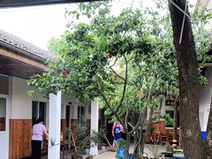 -李东农庄(中南百草园地标店)