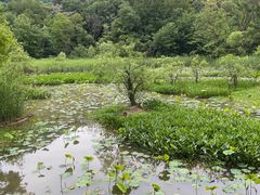 -西湖风景区-江洋畈生态公园