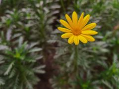 -苏州河梦清园环保主题公园