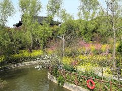 -南汇桃花村