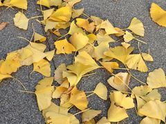 -汇泉广场