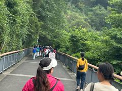 -金鸡山公园