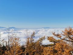 -富士山吉田線五合目