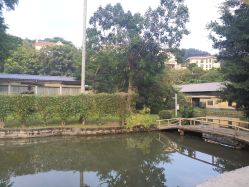 -爱帝宫月子中心(罗湖别墅院)