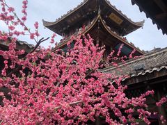 -中天楼