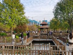-五缘湾湿地公园