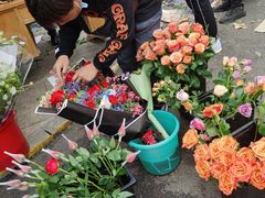 -循礼门鲜花花市(武汉循礼门店)