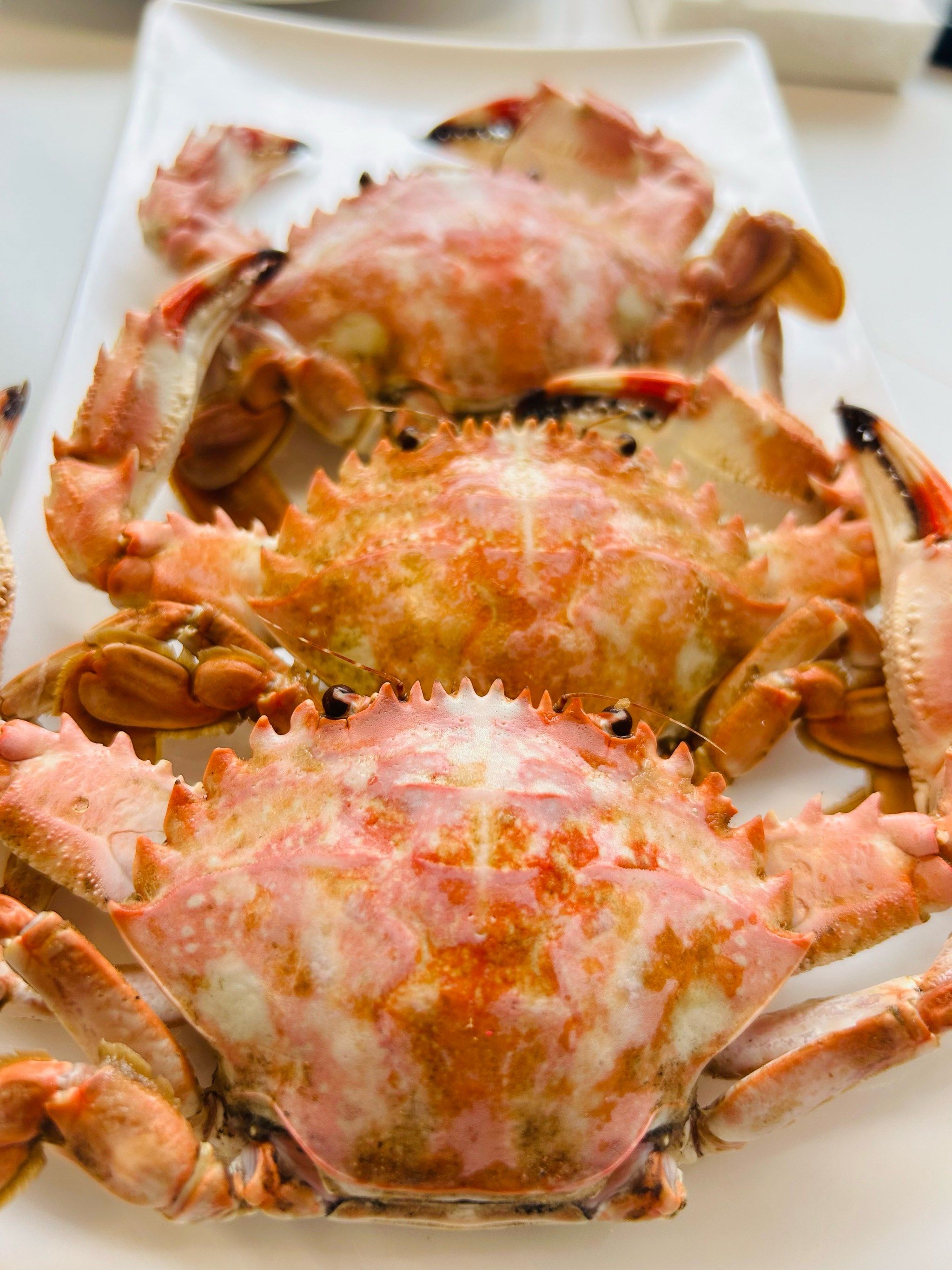 随意找的,海鲜新鲜,特别是本地花蟹,价格实惠