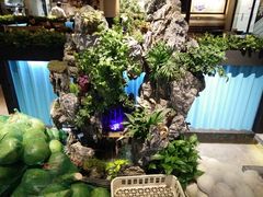 -东椰·海南椰子鸡火锅(朝阳门店)