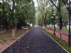 -咸阳湖景区-古渡公园