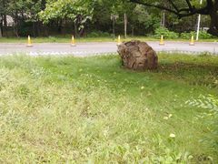 -沈阳市公安局交警支队浑南大队车管所