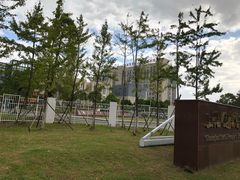 -上海市第六人民医院(临港院区)