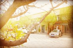 -北京当代芭蕾舞团·艺术中心