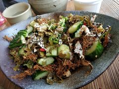 -马帮菜馆·美味野生菌