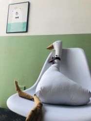 -维尼叔叔家庭影像馆