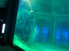 -上海海昌海洋公园-冰山北极馆