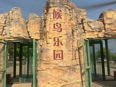 -鄱阳湖国家湿地公园