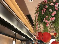 -阿露佳·舌尖上的安吉菜