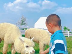 -伊顿幼儿园(天津上河雅颂校区)