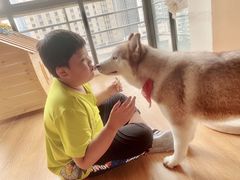 -Husky Go! 哈士奇体验馆·宠物咖啡厅狗咖