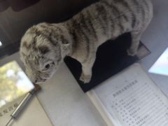 -北京动物园-畅观楼