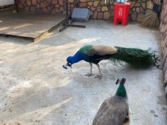 -金庭庄园酒店-停车场