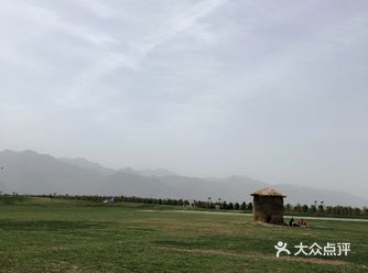 过年的时候唐村还要门票，最近免门票了但是梅花也全都谢